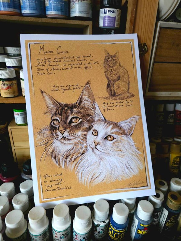 Artprint "Maine Coon"