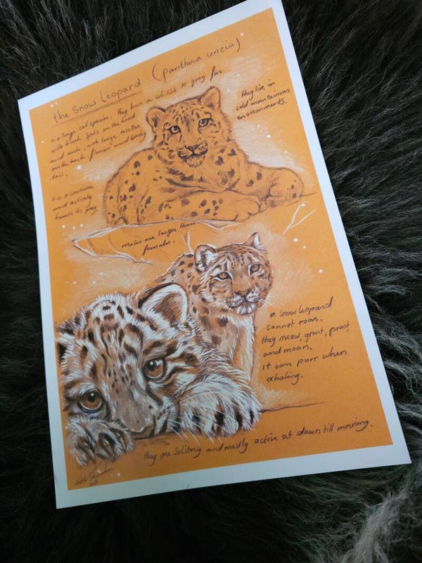 Artprint Snow leopard