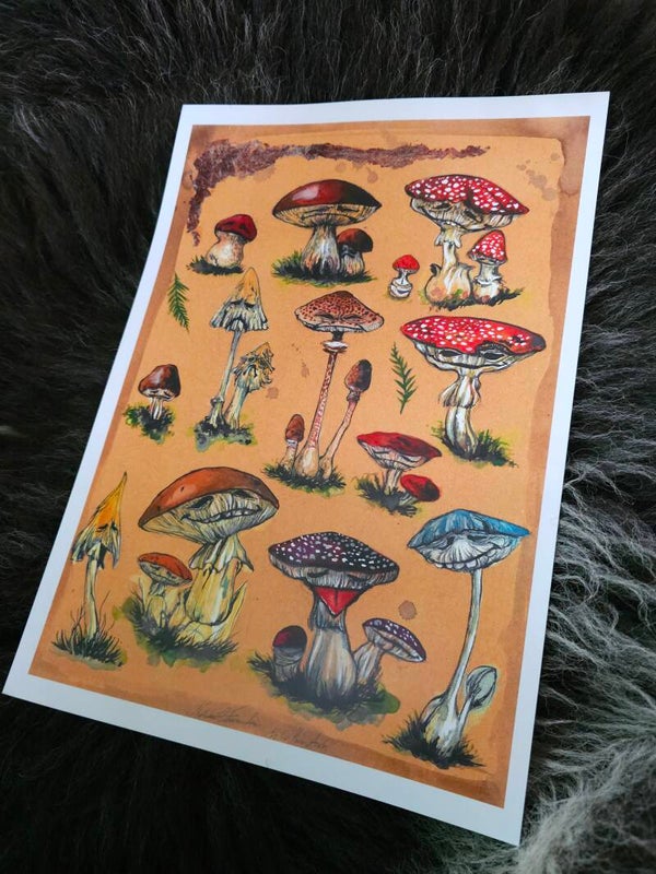 Artprint Muschroom chart