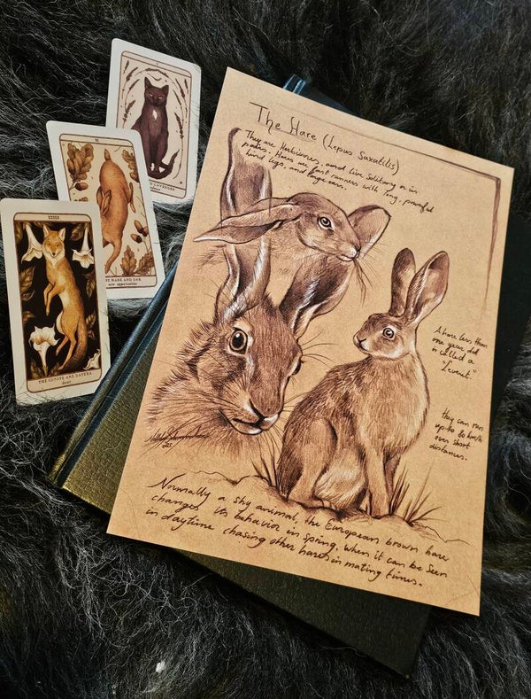 Artprint "the hare"
