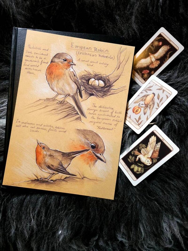 Artprint "the Robin"