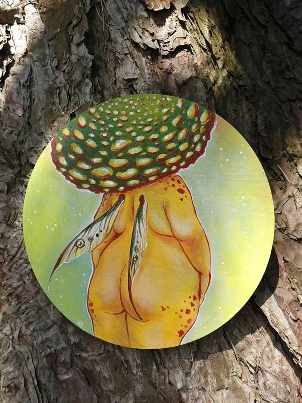 Original "Fairy schroom"