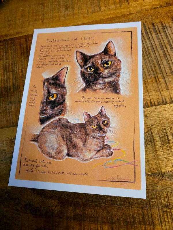 Artprint Tortoiseshell cat