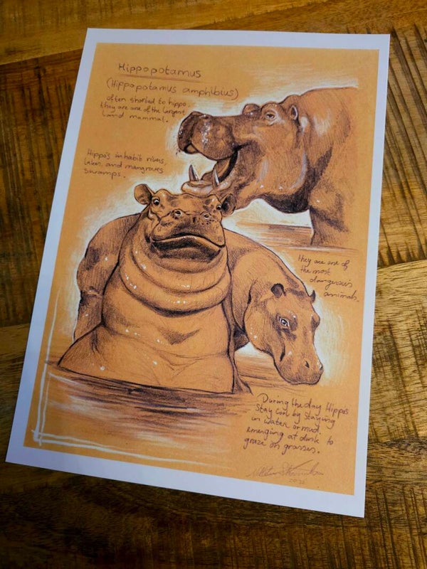 Artprint hippotamus