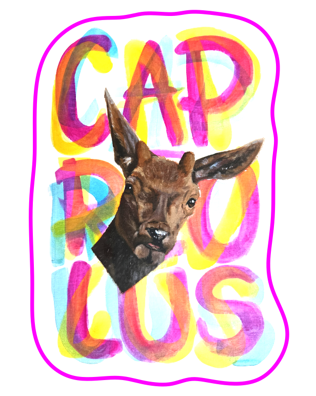 sticker_capreolus-standard-3o2nk3.png