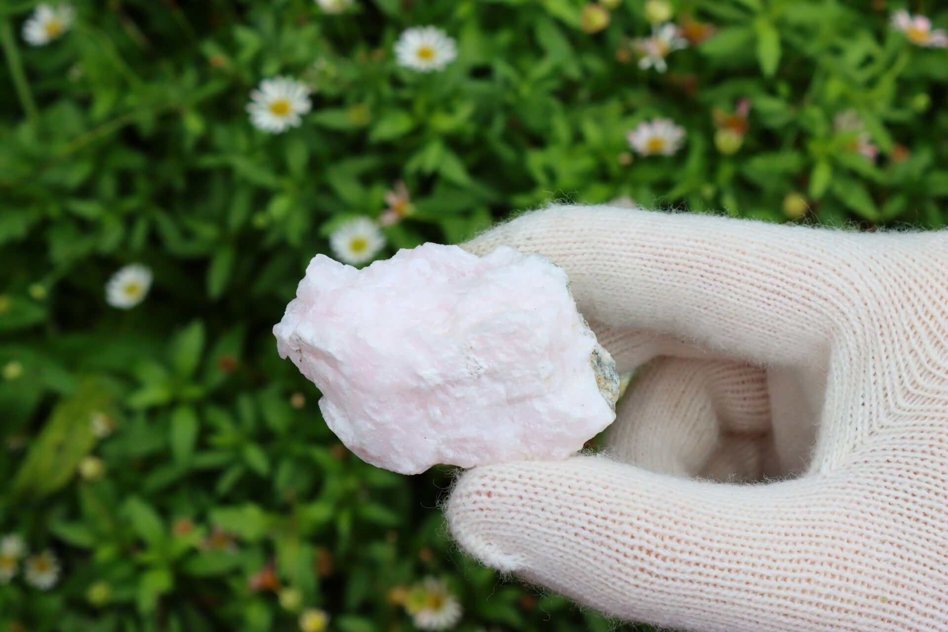 [UV] Mangano Calciet