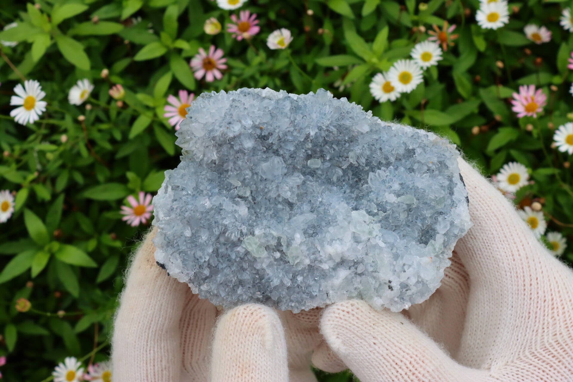 Druzy Kwarts Blauw