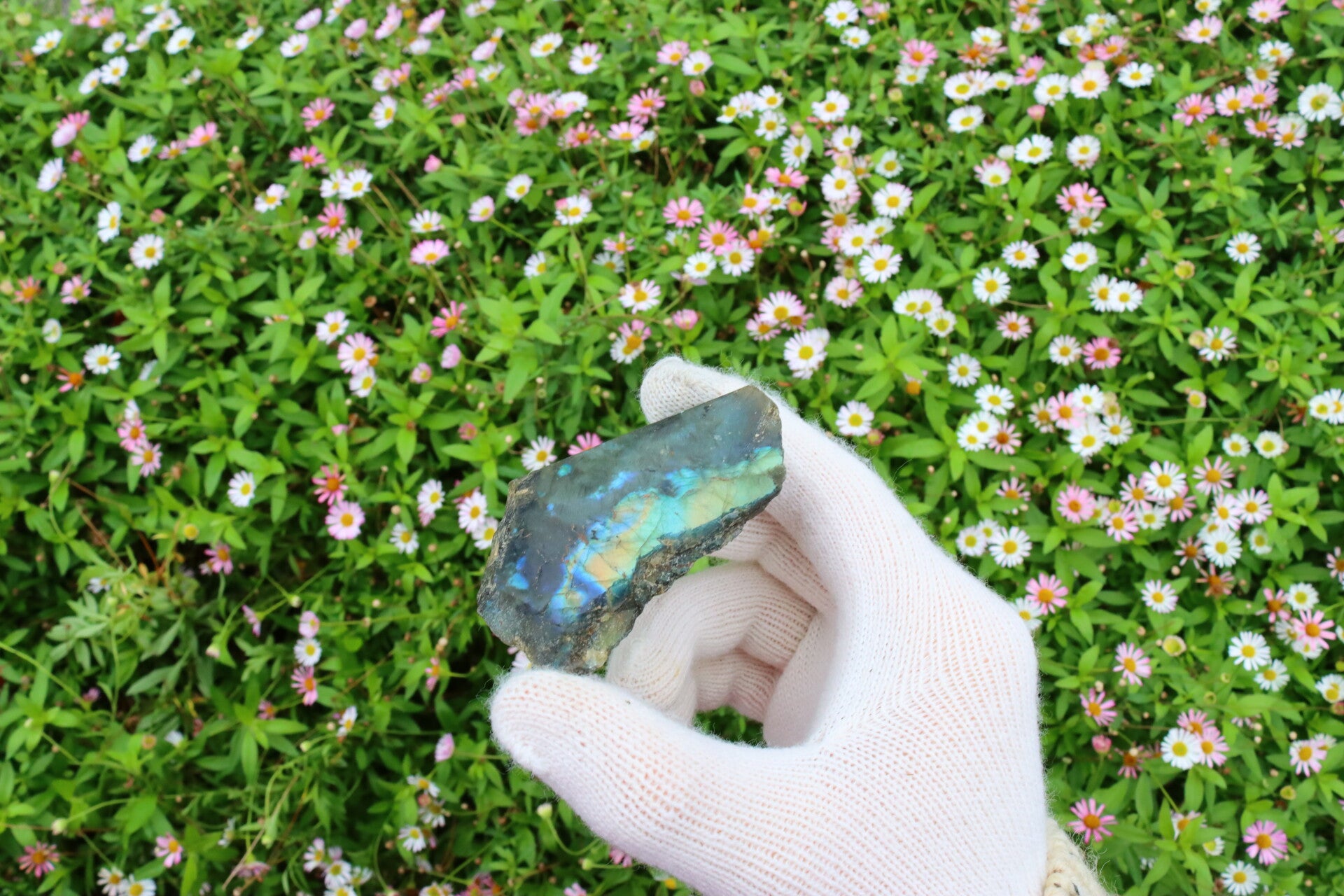 Multi Labradoriet Vlak