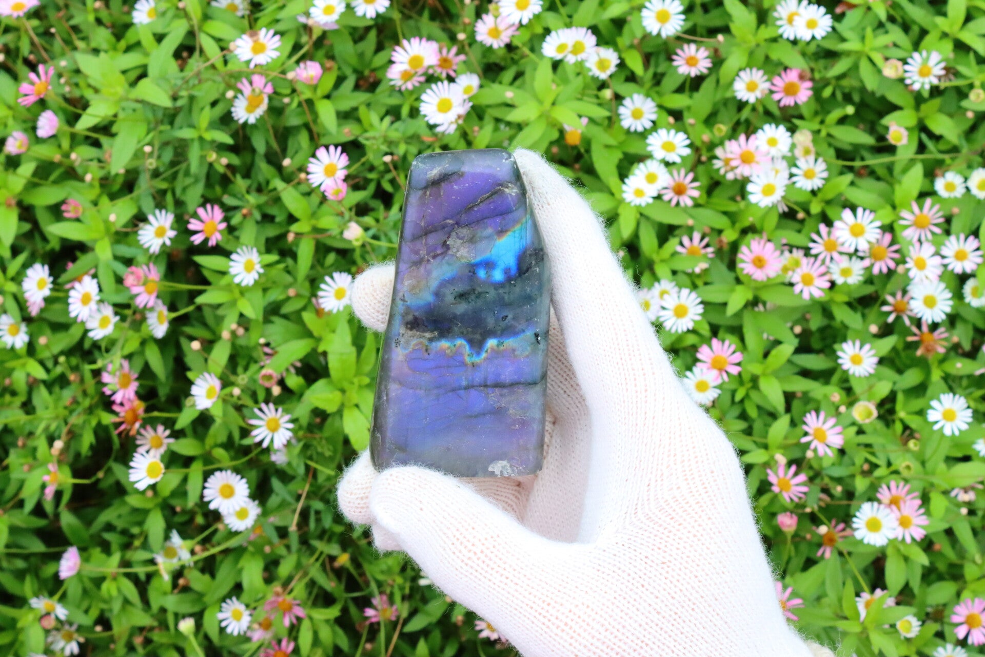 {M} Paarse Labradoriet Flash