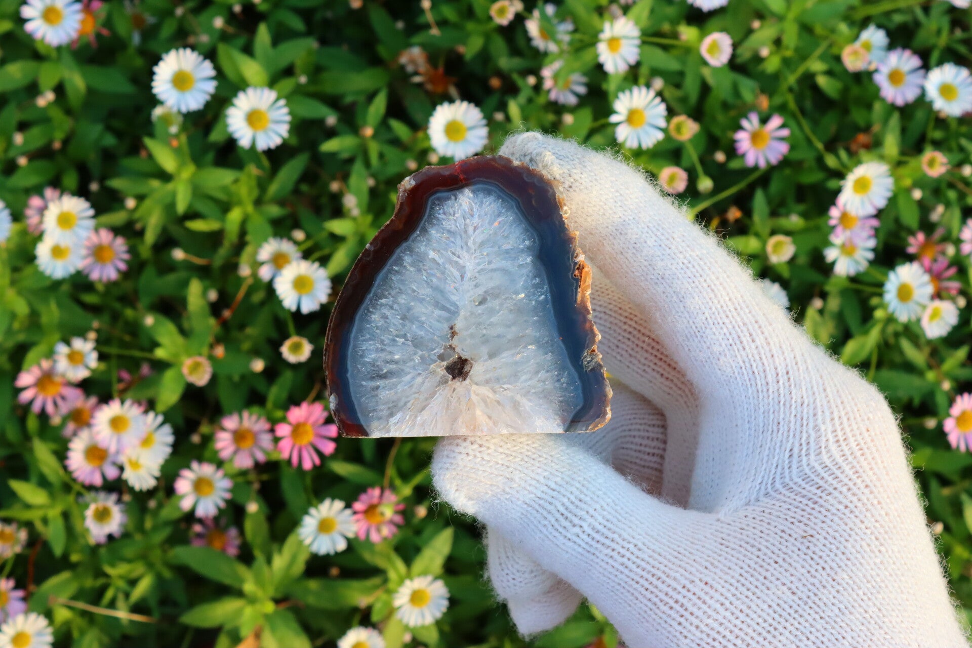 Agaat Geode met Natuurlijke Kristallen