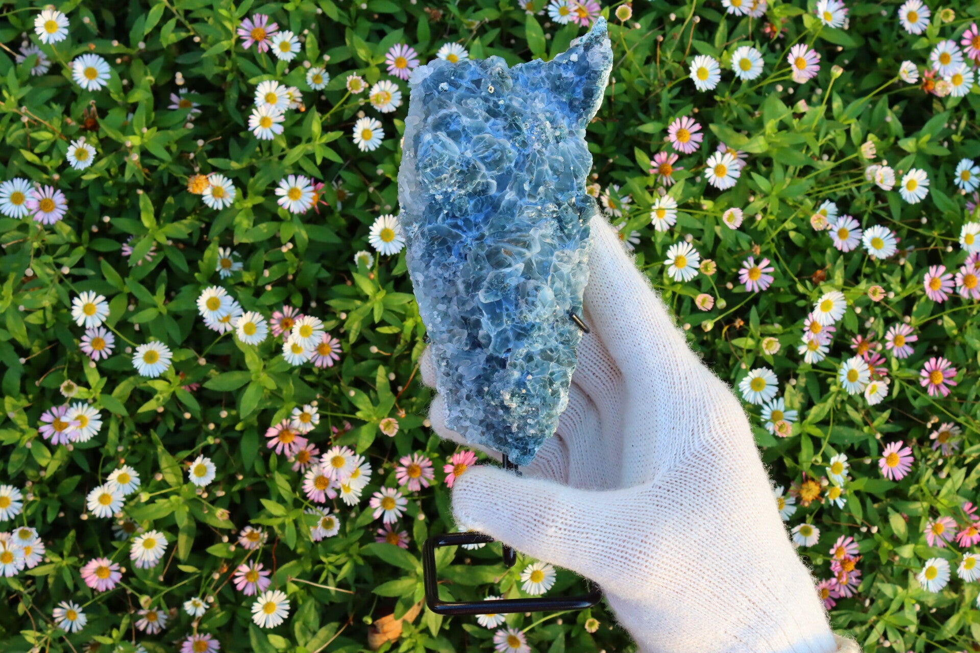 {Special} Blauwe Amthist