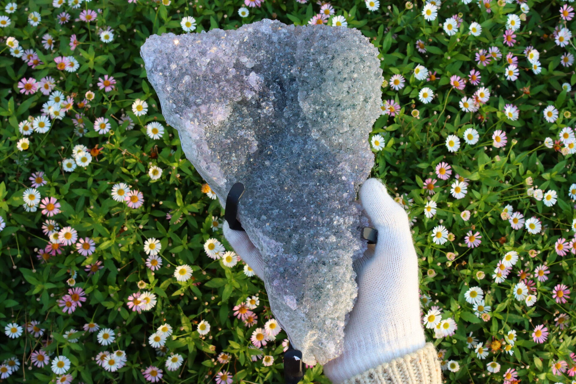 {XL} Flower Amethist