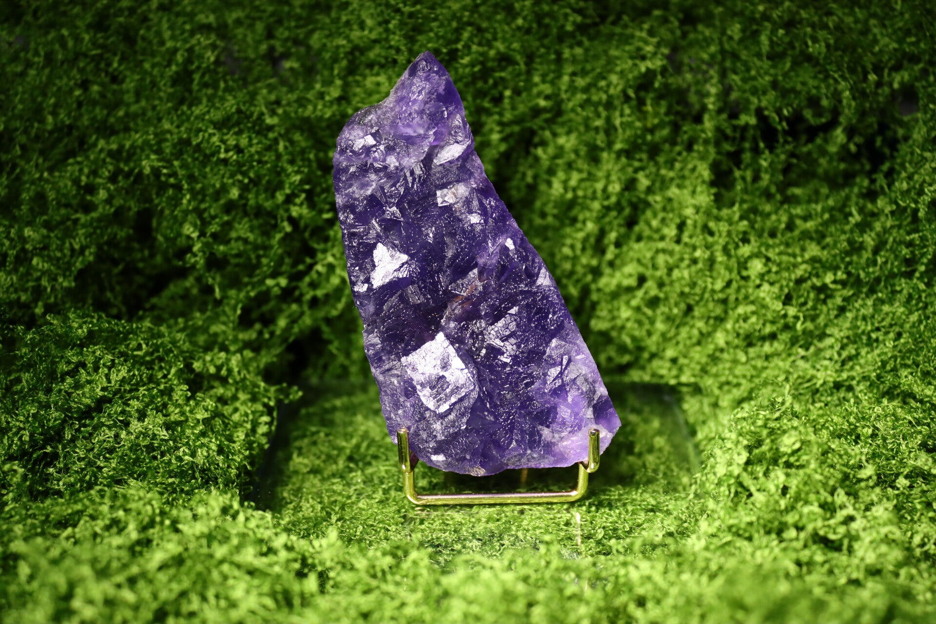 Ruwe Paarse Fluoriet (Groot Specimen)