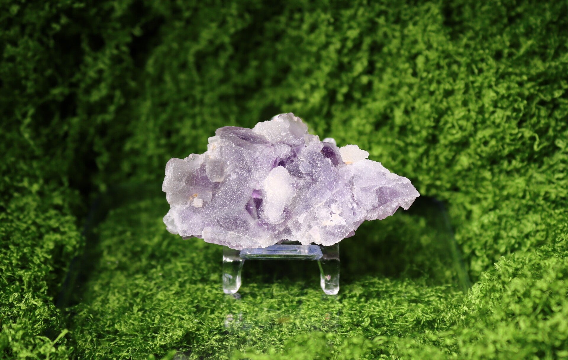 Intens Paars Sugar Fluoriet