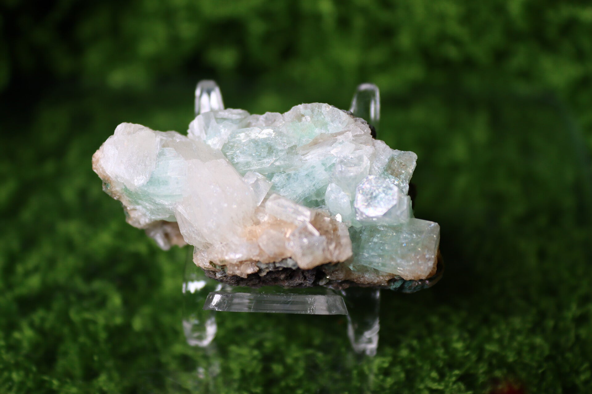 Apofyliet Roze/Groen