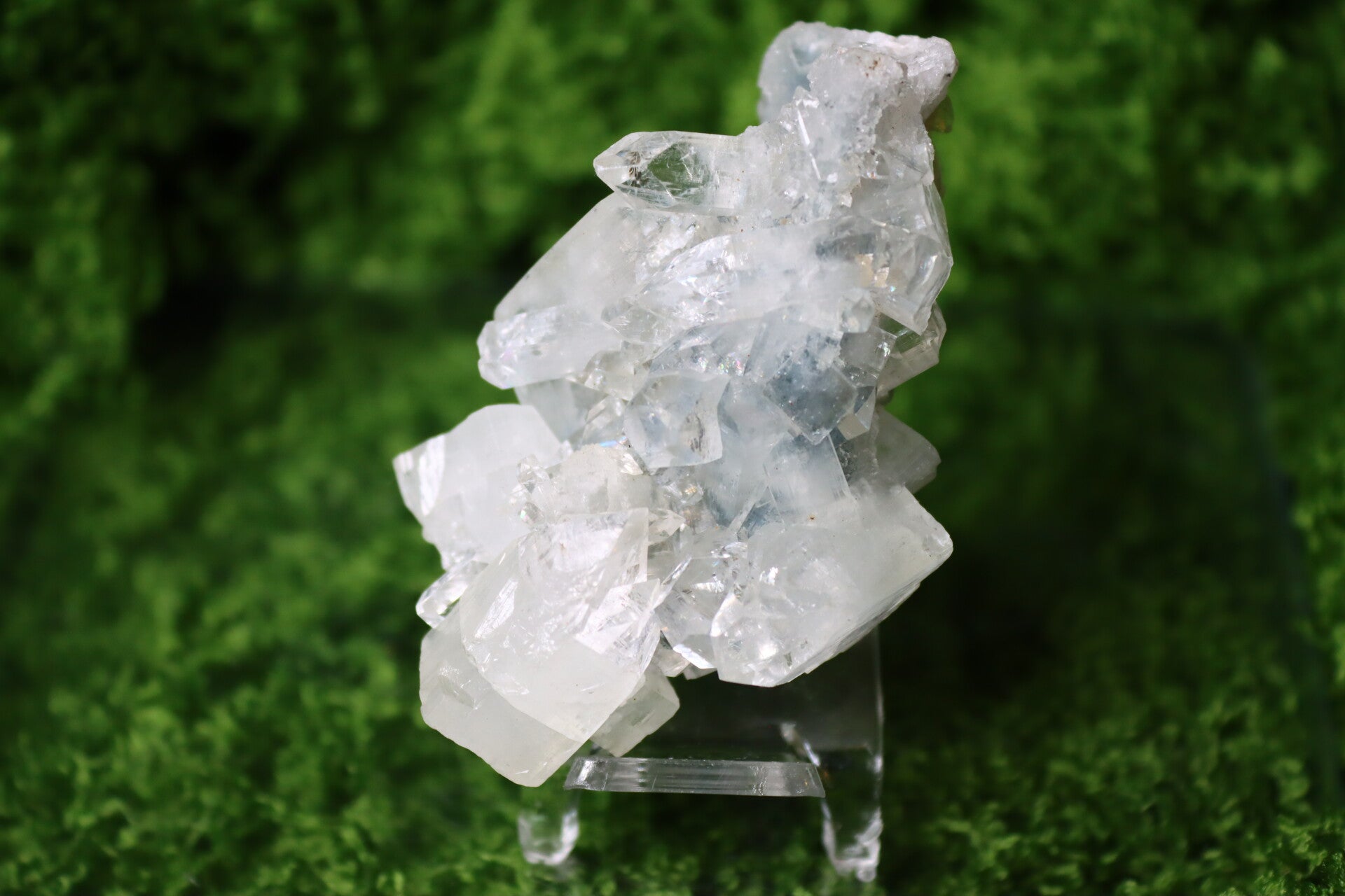 Blauwe Chalcedoon met Apofyliet