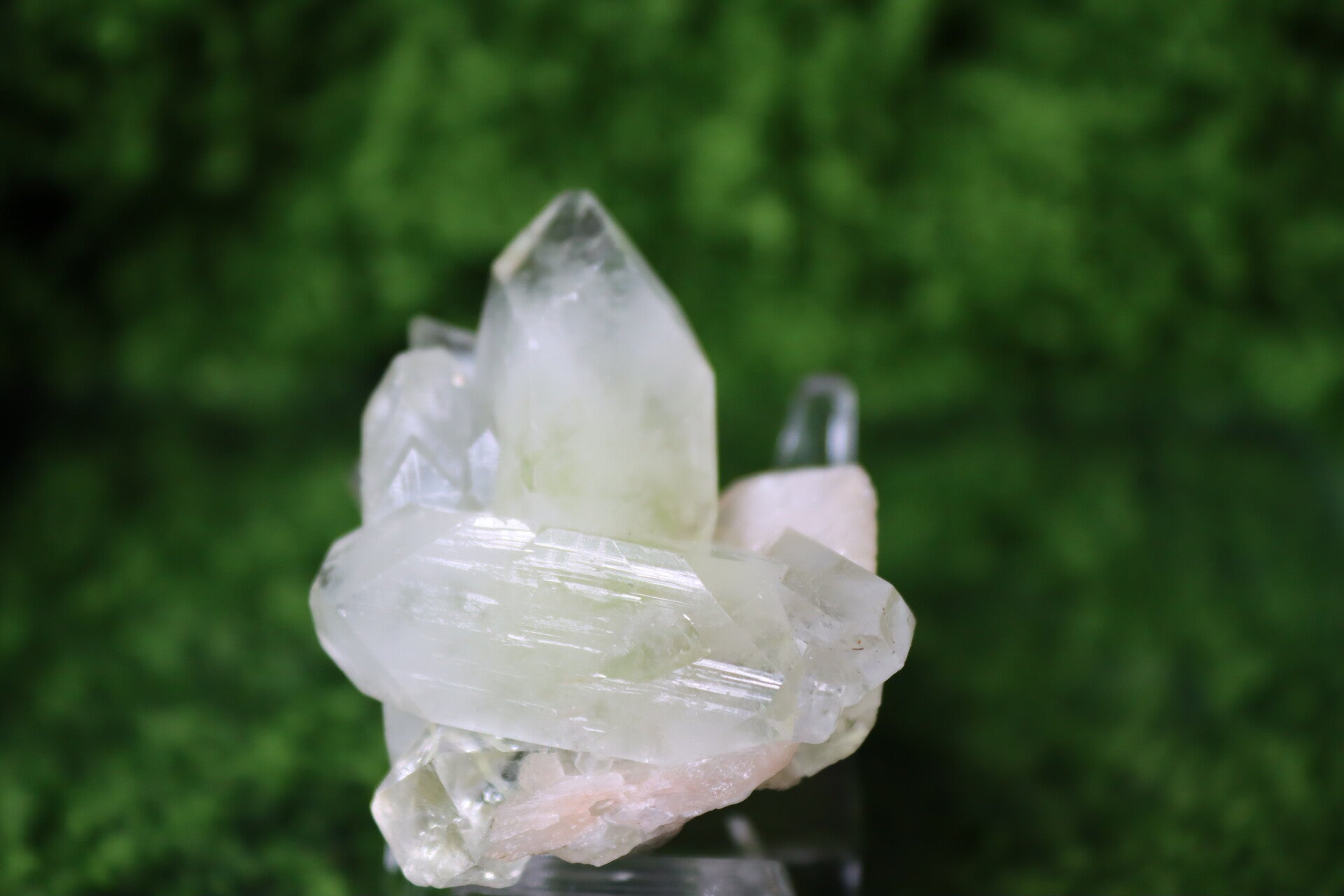 Apofyliet Groen/Licht Roze