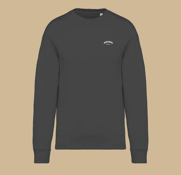 DIESEHEADS OVERSIZED SWEATER | WAY OF LIFE | GREY
