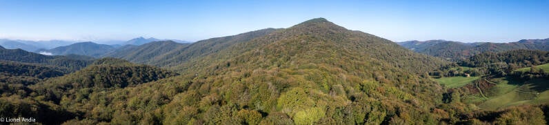 Les forêts du domaine de Bertiz, dominées par l’Aizkolegi.