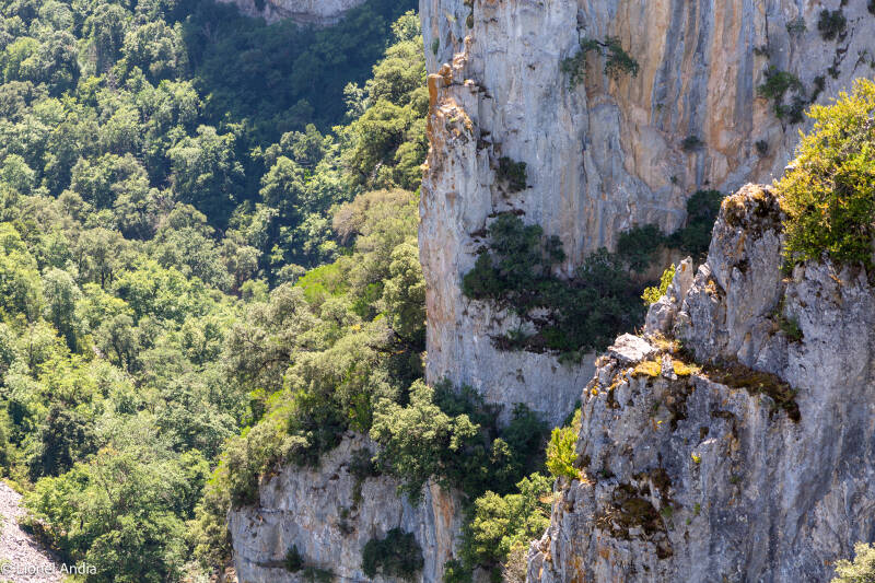 Le canyon d'Arbayún en Navarre