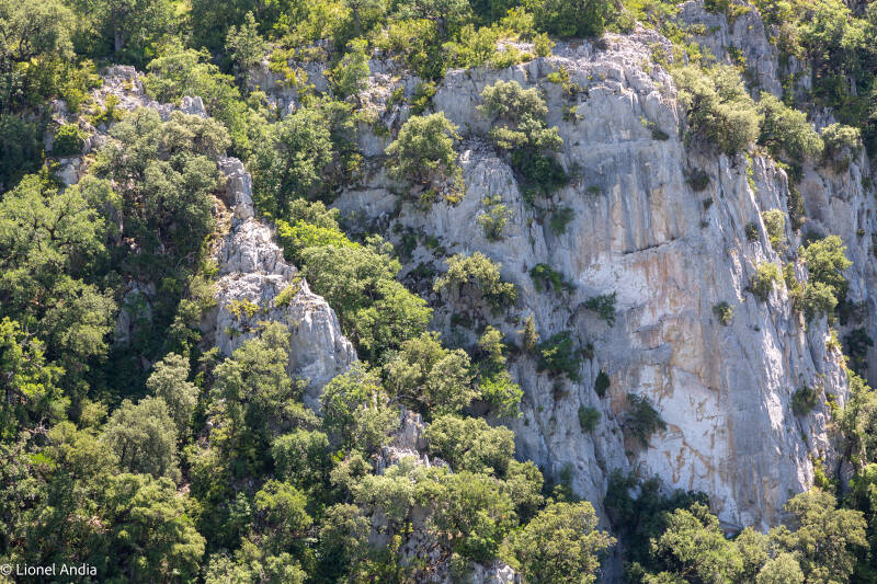 Le canyon d'Arbayún en Navarre