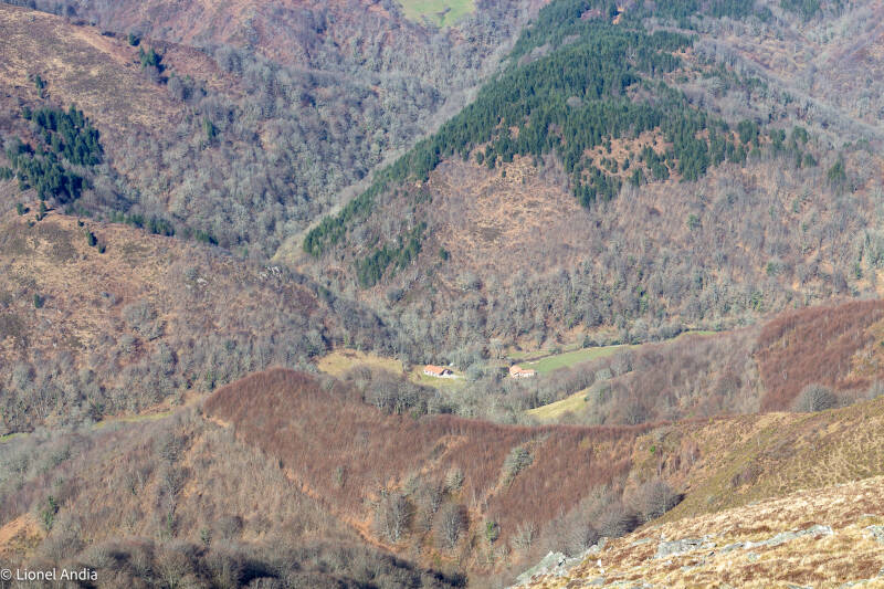 La vallée d'Aritzakun en Navarre