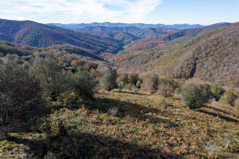 Le domaine d’Artikutza, ou Finca de Artikutza, est une enclave du Gipuzkoa au cœur du territoire navarrais.