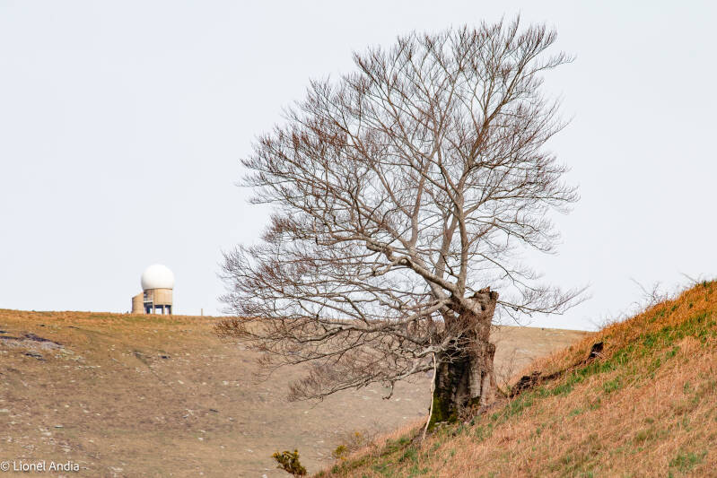 Le sommet de l'Artzamendi