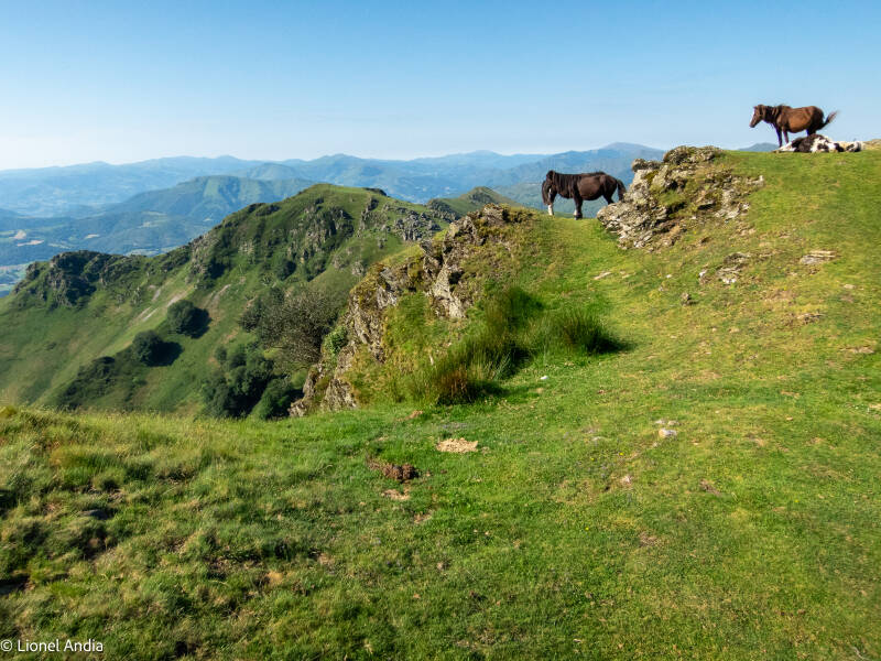 Depuis des siècles, les pentes du Baigura accueillent les troupeaux de brebis, de vaches et de pottok