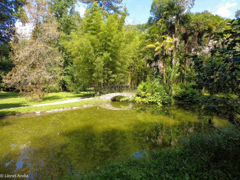 Jardin de Bertiz : trésor botanique en Navarre