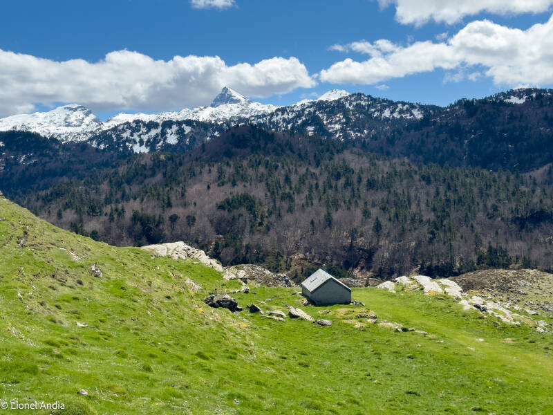 Toit et cheminée typiques de l’ancienne cabane de Ligoleta