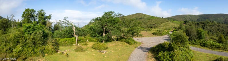 Le col de Pittare ou des Poiriers