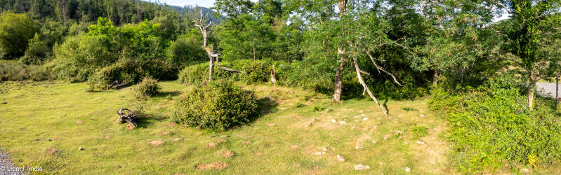 Les tumulus cromlechs du col de Pittare