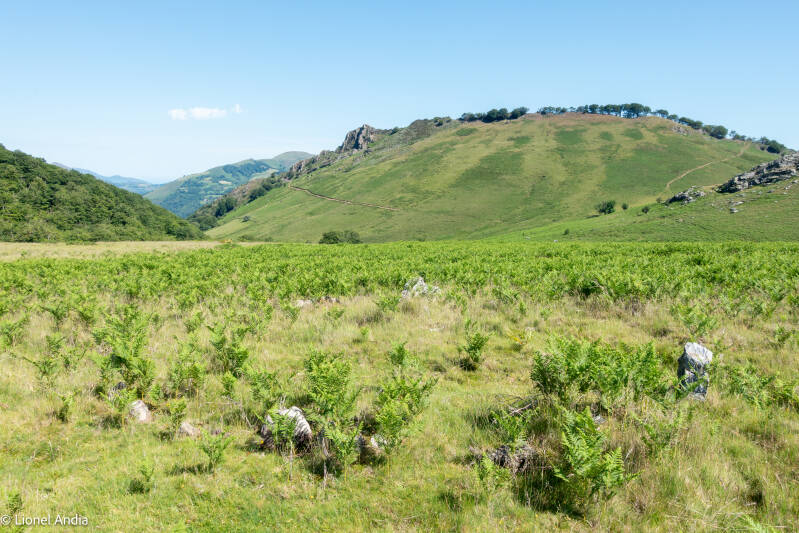 Tumulus cromlechs du Col d'Elhorrieta