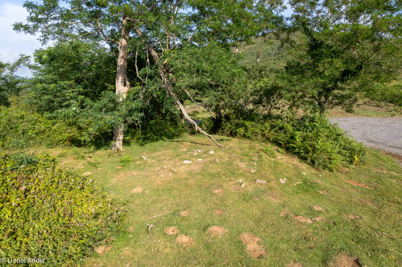 Les tumulus cromlechs du col de Pittare