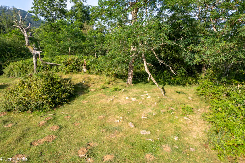 Les tumulus cromlechs du col de Pittare