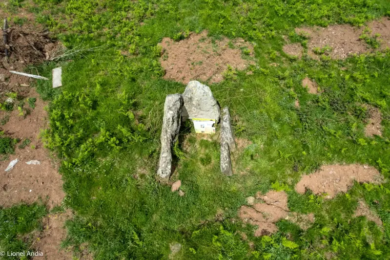 Le Dolmen d'Armiague