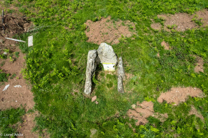 Le dolmen d'Armiague