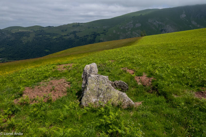 Le dolmen d'Armiague