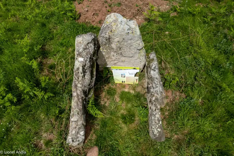 Le Dolmen d'Armiague