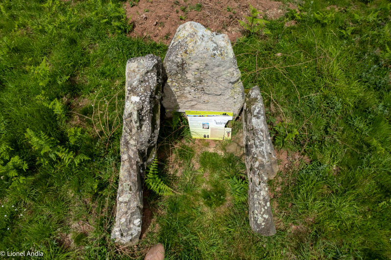 Le dolmen d'Armiague