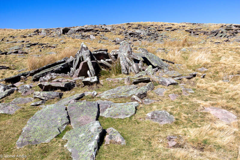 dolmen de Bardaxilo — Bardaxilo trikuharria