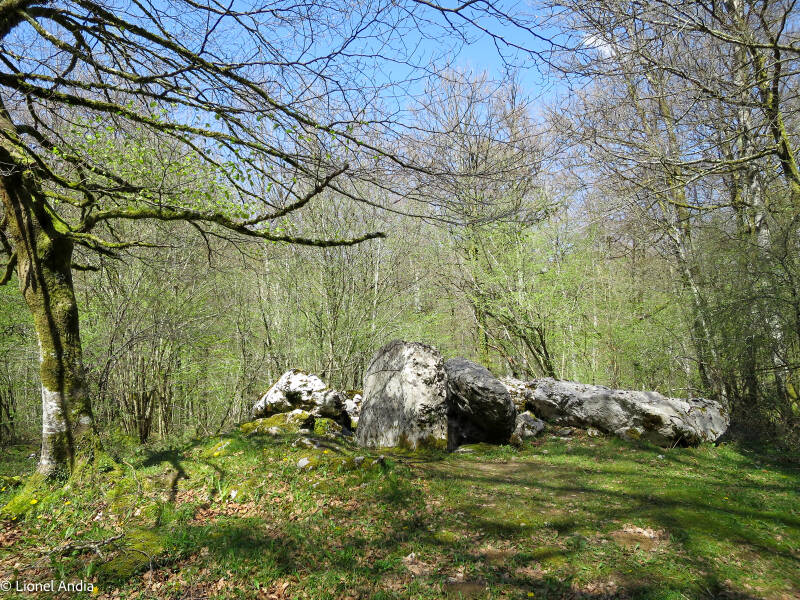  Le dolmen d'Ithe 1 à Aussurucq