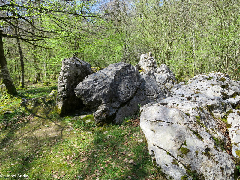  Le dolmen d'Ithe 1 à Aussurucq