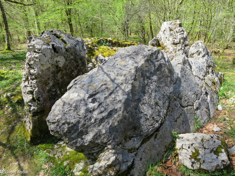  Le dolmen d'Ithe 1 à Aussurucq