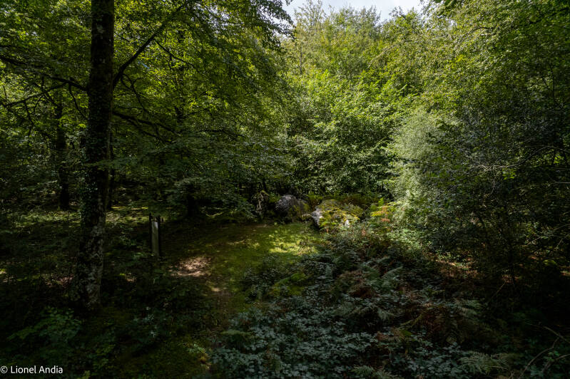 Le dolmen d'Ithé 1 dans la forêt des Arbailles
