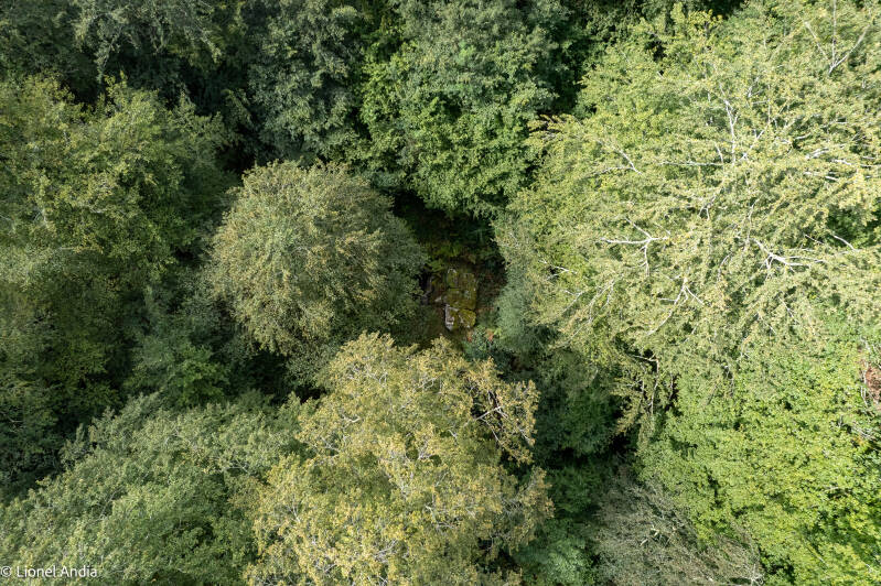 Le dolmen d'Ithe 1 à Aussurucq