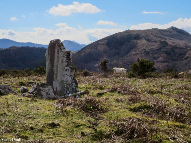 Le dolmen de Sorohaundi 