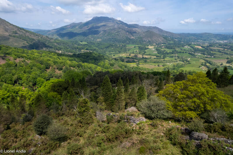 forêt Sare palombières