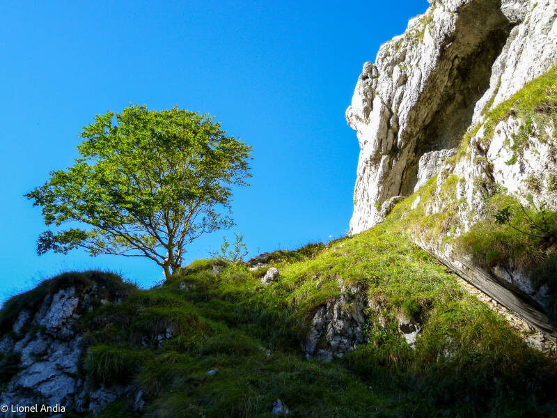Le canyon d’Ehujarre, en Haute‑Soule